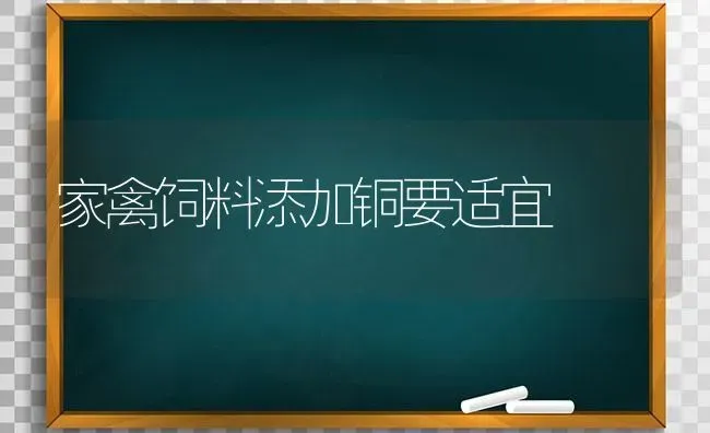 家禽饲料添加铜要适宜 | 动物养殖饲料