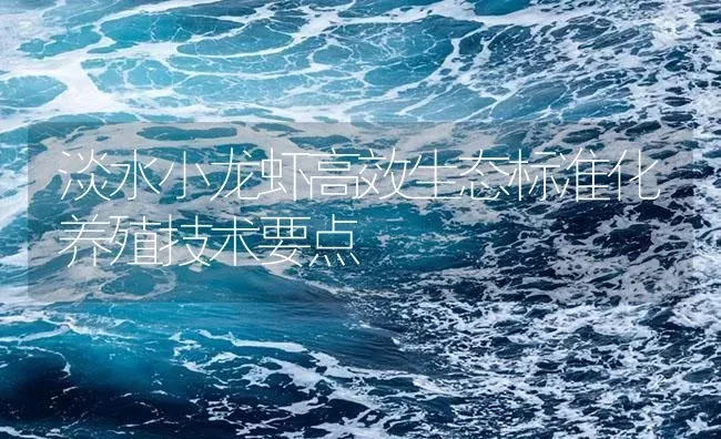 淡水小龙虾高效生态标准化养殖技术要点 | 海水养殖
