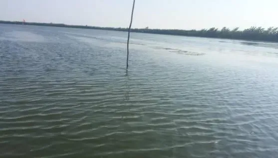 养水是河蟹养殖过程中一场漫长而艰难的战役