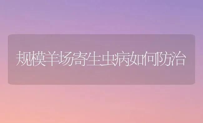 规模羊场寄生虫病如何防治 | 家畜养殖