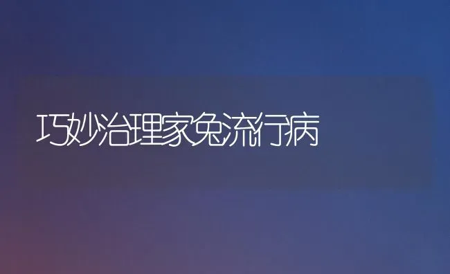 巧妙治理家兔流行病 | 家畜养殖