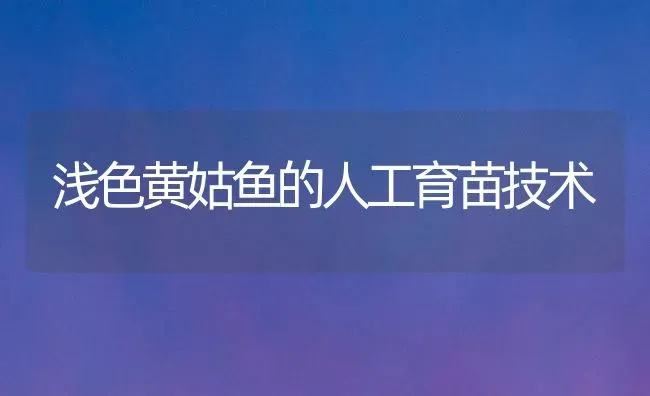 浅色黄姑鱼的人工育苗技术 | 淡水养殖