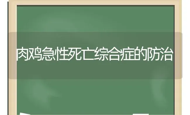 肉鸡急性死亡综合症的防治 | 家禽养殖