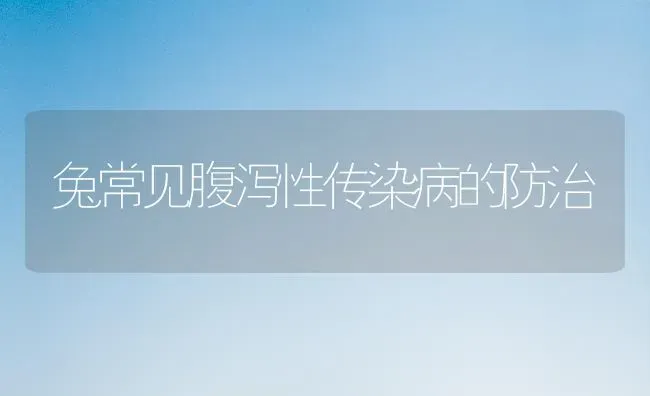 兔常见腹泻性传染病的防治 | 家畜养殖
