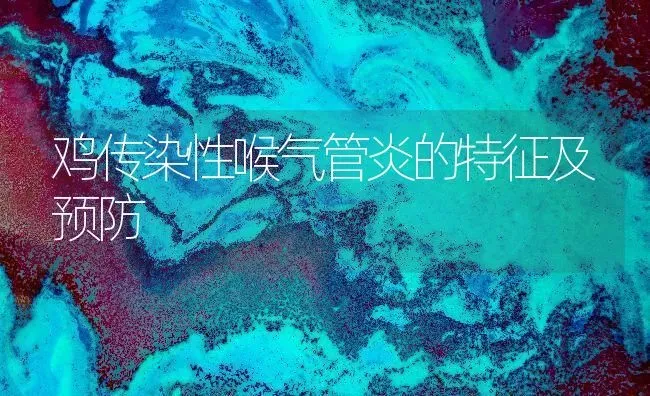 鸡传染性喉气管炎的特征及预防 | 家禽养殖