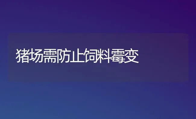 猪场需防止饲料霉变 | 家畜养殖