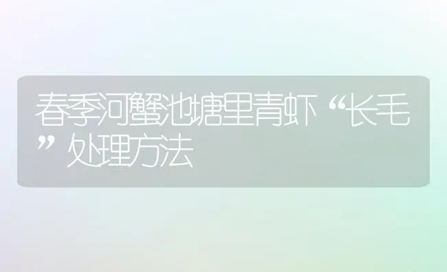 春季河蟹池塘里青虾“长毛”处理方法 | 淡水养殖