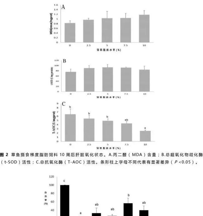 饲料脂质水平对草鱼体内生理生化的影响