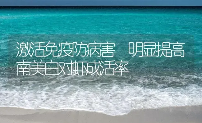 激活免疫防病害 明显提高南美白对虾成活率 | 海水养殖