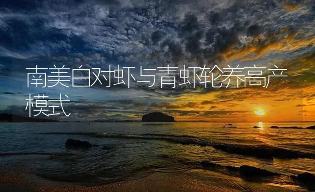 南美白对虾与青虾轮养高产模式 | 海水养殖