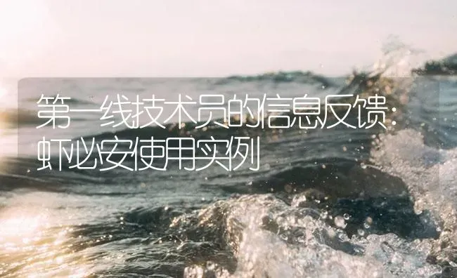第一线技术员的信息反馈：虾必安使用实例 | 海水养殖