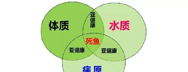 草鱼鲫鱼价格持续上涨，养鱼户如何抓住今年的高鱼价？
