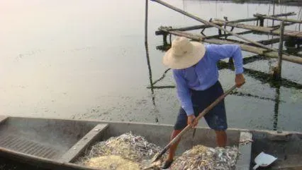 河蟹健康养殖全过程的二十个重要关键词