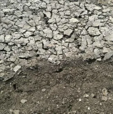 河蟹健康养殖全过程的二十个重要关键词