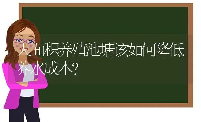 大面积养殖池塘该如何降低养水成本？ | 动物养殖百科
