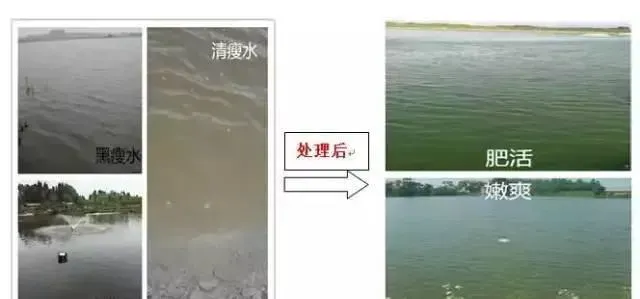 惊蛰前后养殖池塘管理好，清明以后发病少