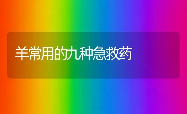 羊常用的九种急救药 | 养殖病虫害防治