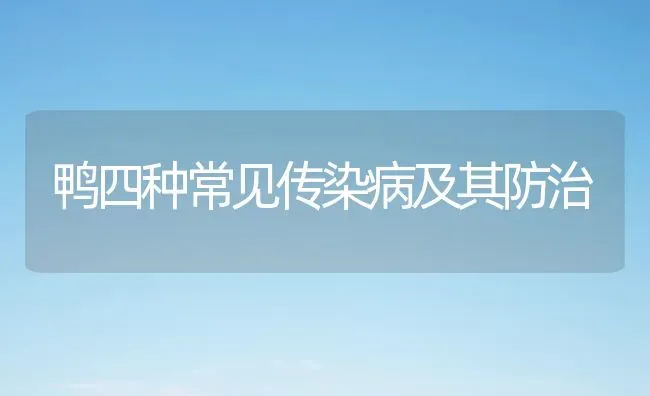 鸭四种常见传染病及其防治 | 家禽养殖