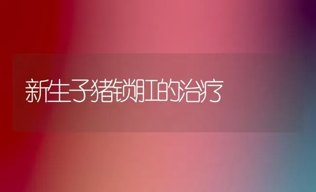 新生子猪锁肛的治疗 | 家畜养殖