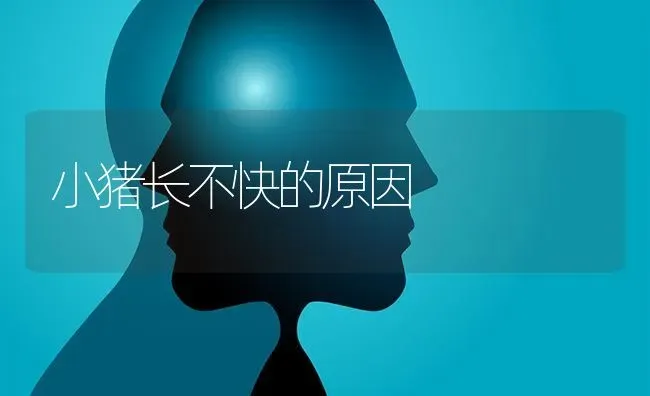 小猪长不快的原因 | 家畜养殖