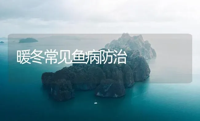 暖冬常见鱼病防治 | 养殖病虫害防治