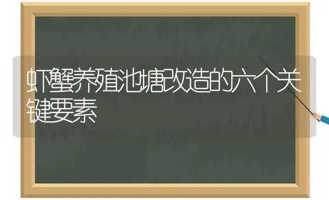 虾蟹养殖池塘改造的六个关键要素 | 动物养殖百科