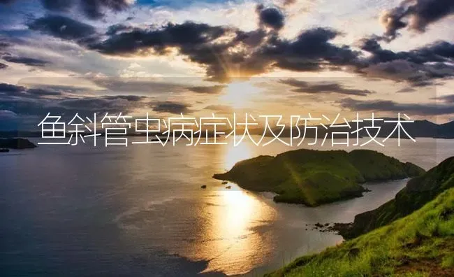 鱼斜管虫病症状及防治技术 | 养殖病虫害防治