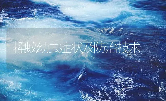 摇蚊幼虫症状及防治技术 | 养殖病虫害防治