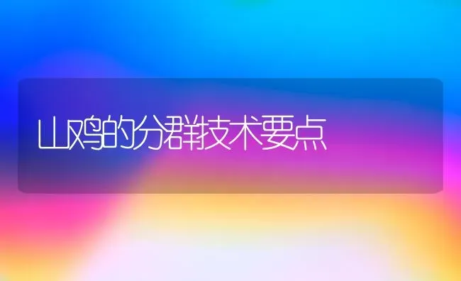 山鸡的分群技术要点 | 家禽养殖