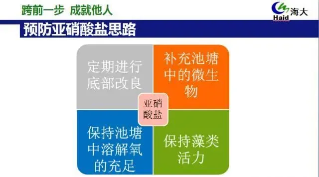 池塘水质亚硝酸盐产生的原理及其处理思路