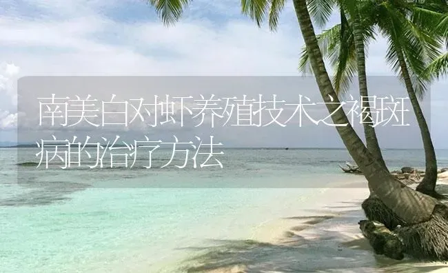 南美白对虾养殖技术之褐斑病的治疗方法 | 海水养殖