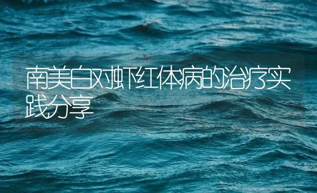 南美白对虾红体病的治疗实践分享 | 海水养殖