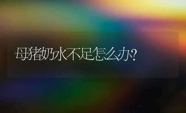 母猪奶水不足怎么办？ | 家畜养殖