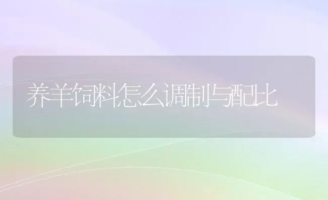 养羊饲料怎么调制与配比 | 家畜养殖