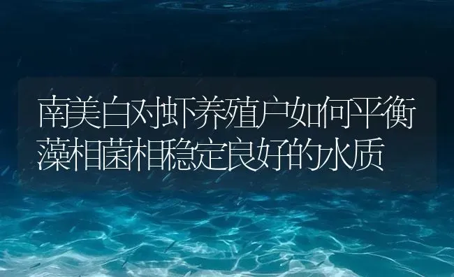 南美白对虾养殖户如何平衡藻相菌相稳定良好的水质 | 海水养殖