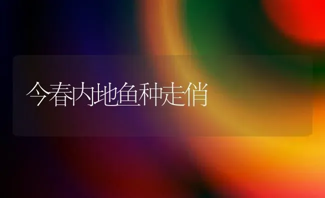 今春内地鱼种走俏 | 淡水养殖