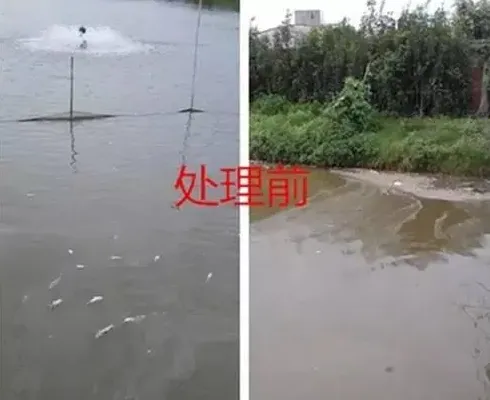 亚硝酸盐高导致黄颡鱼中毒处理方案分享