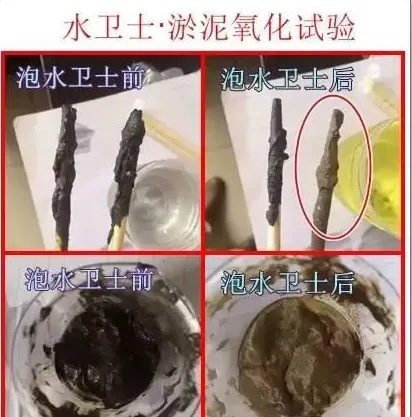 惊蛰前后养殖池塘管理好，清明以后发病少
