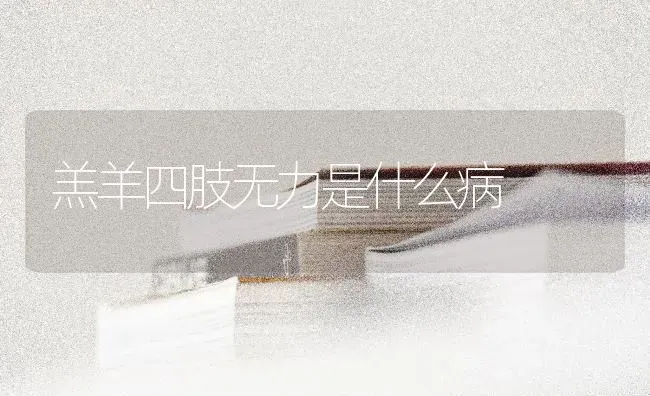 羔羊四肢无力是什么病 | 家畜养殖