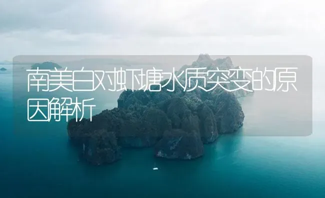 南美白对虾塘水质突变的原因解析 | 海水养殖