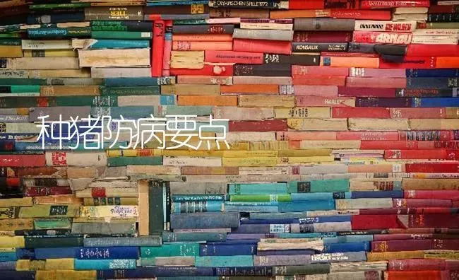 种猪防病要点 | 家畜养殖