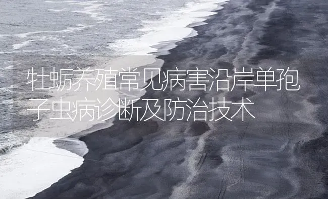 牡蛎养殖常见病害沿岸单孢子虫病诊断及防治技术 | 养殖病虫害防治