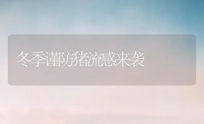 冬季谨防猪流感来袭 | 家畜养殖