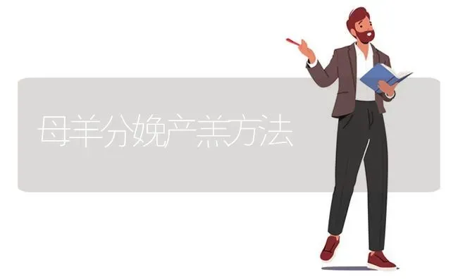 母羊分娩产羔方法 | 家畜养殖
