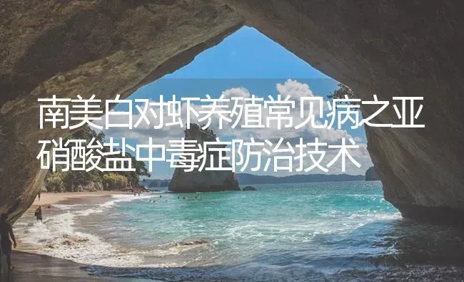 南美白对虾养殖常见病之亚硝酸盐中毒症防治技术 | 海水养殖