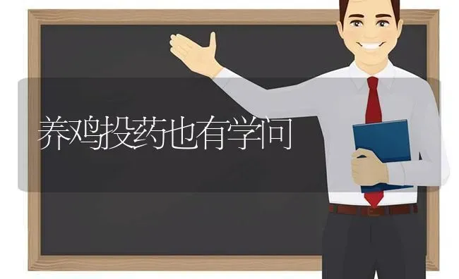 养鸡投药也有学问 | 养殖病虫害防治