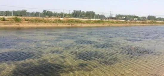 养水是河蟹养殖过程中一场漫长而艰难的战役