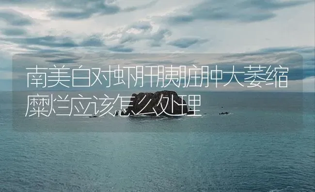 南美白对虾肝胰脏肿大萎缩糜烂应该怎么处理 | 海水养殖