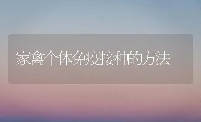 家禽个体免疫接种的方法 | 家禽养殖