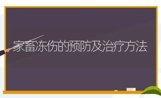 家畜冻伤的预防及治疗方法 | 家畜养殖